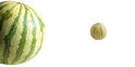 Melonen