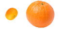 Citrus