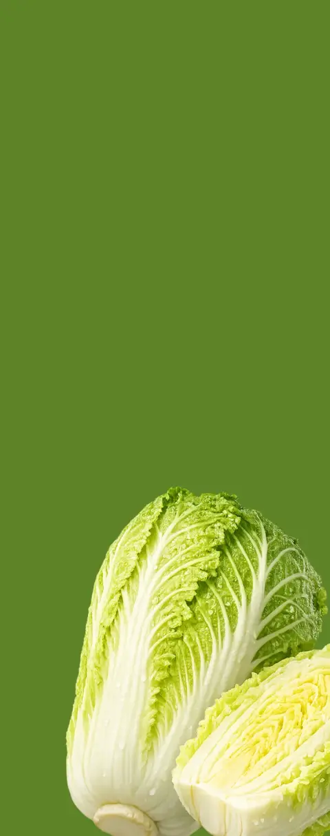 Chinese cabbage
