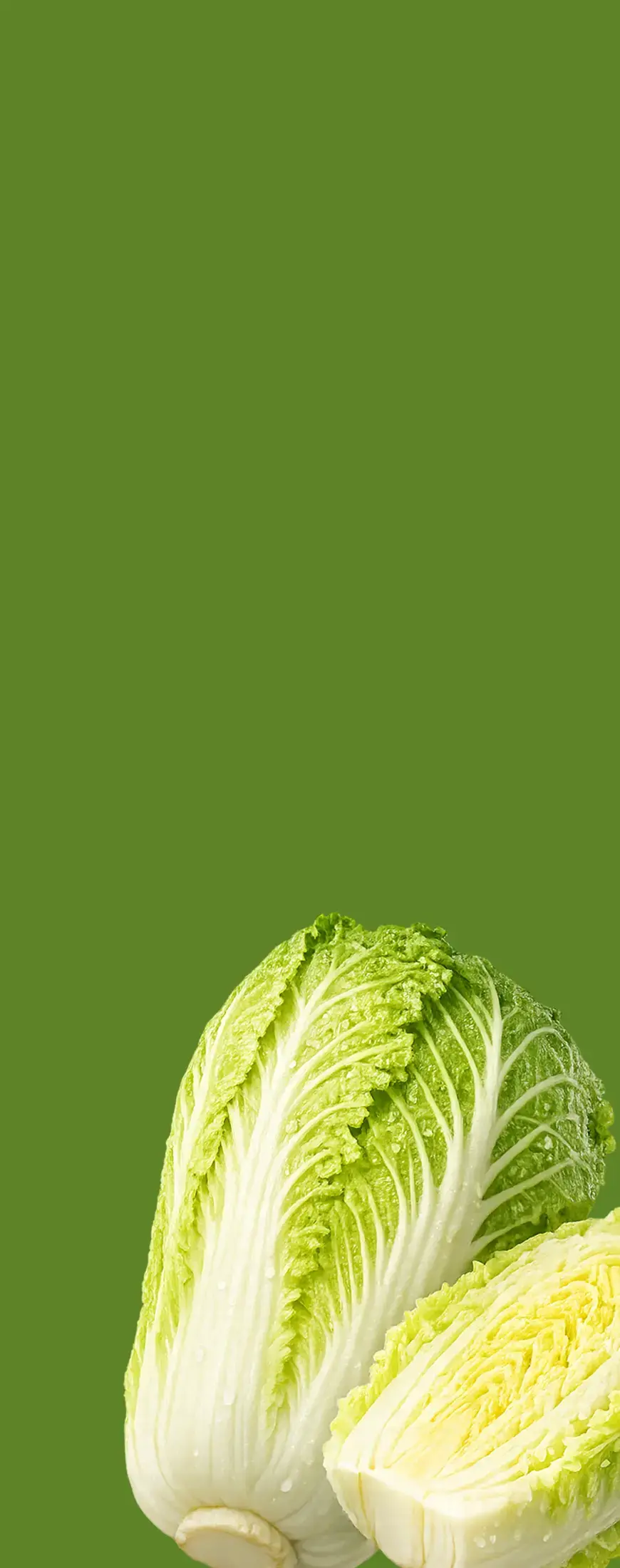 Chinese cabbage