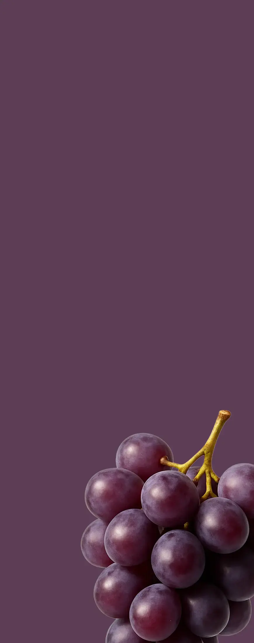 Grapes