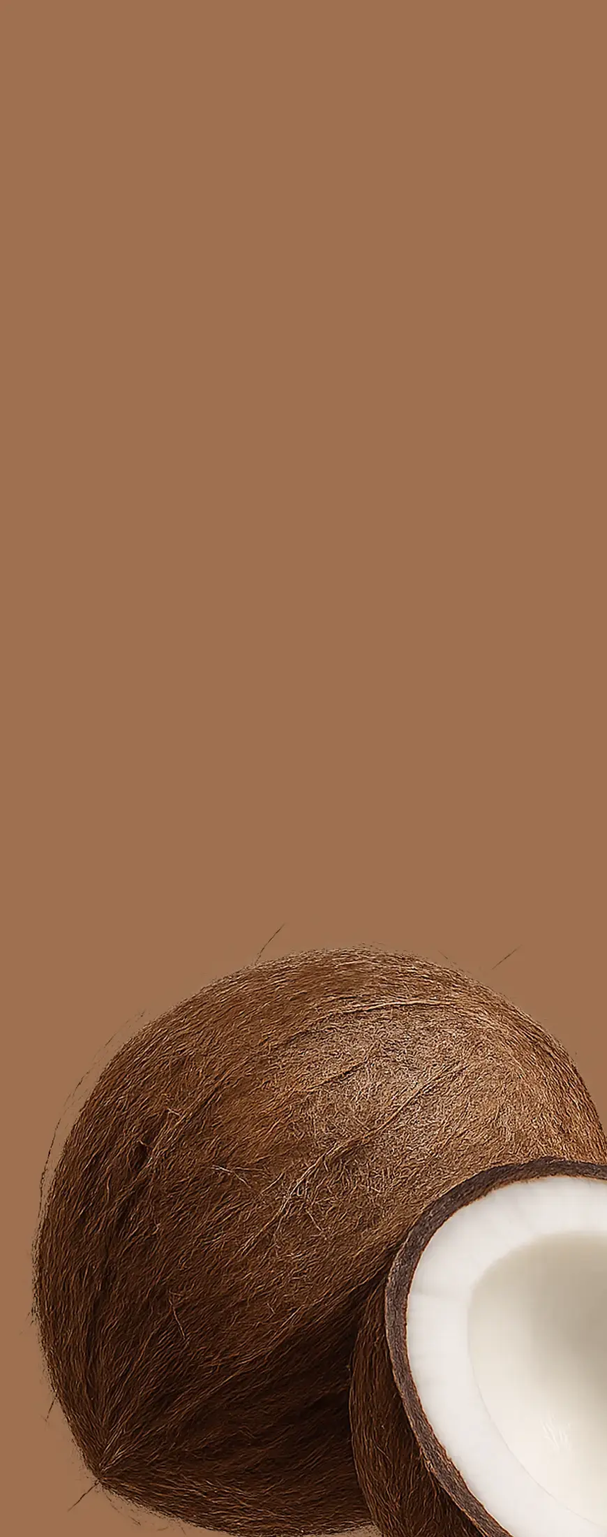 Nuts