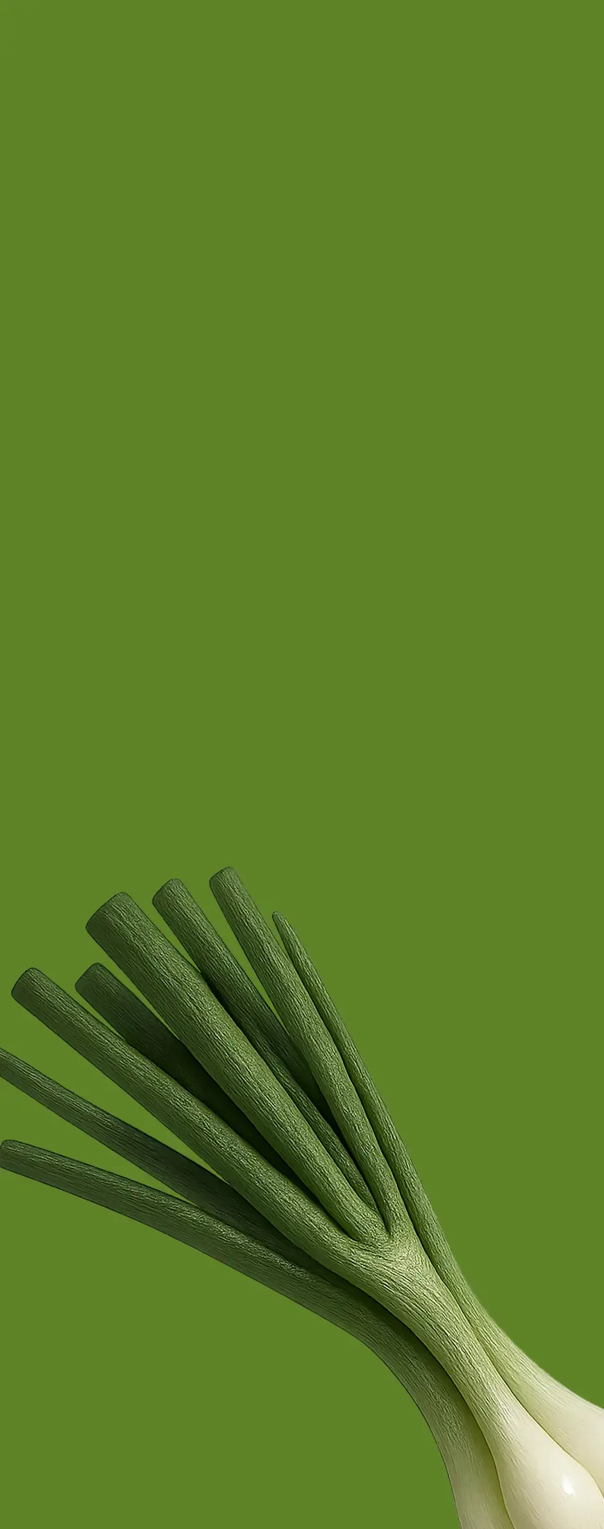 Onions