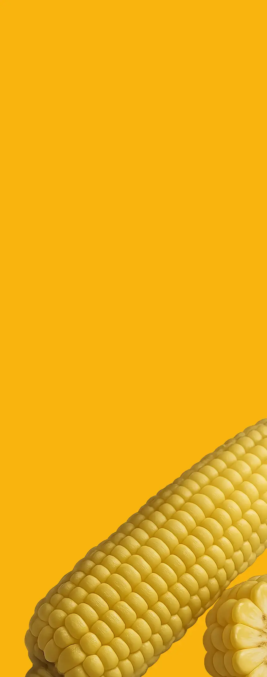 Other vegetables