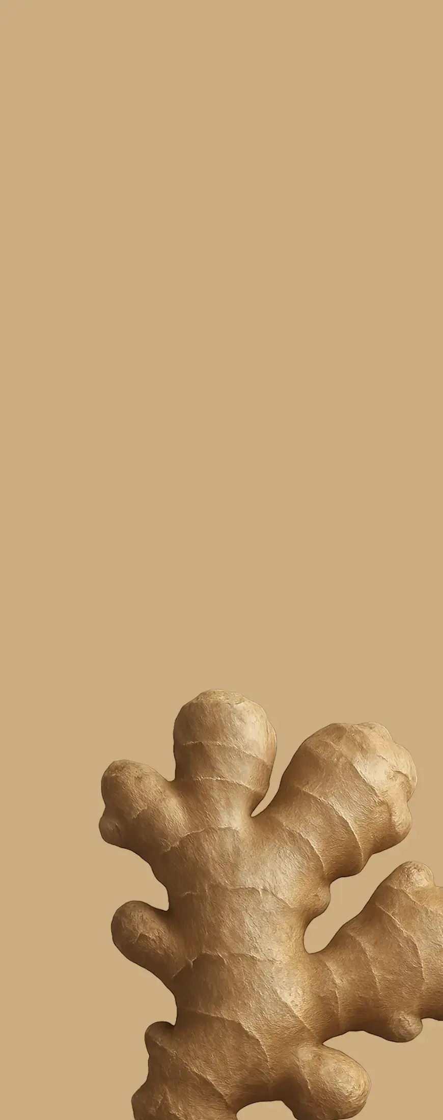 Root crops
