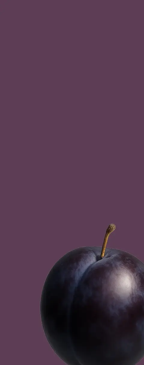Stone Fruit