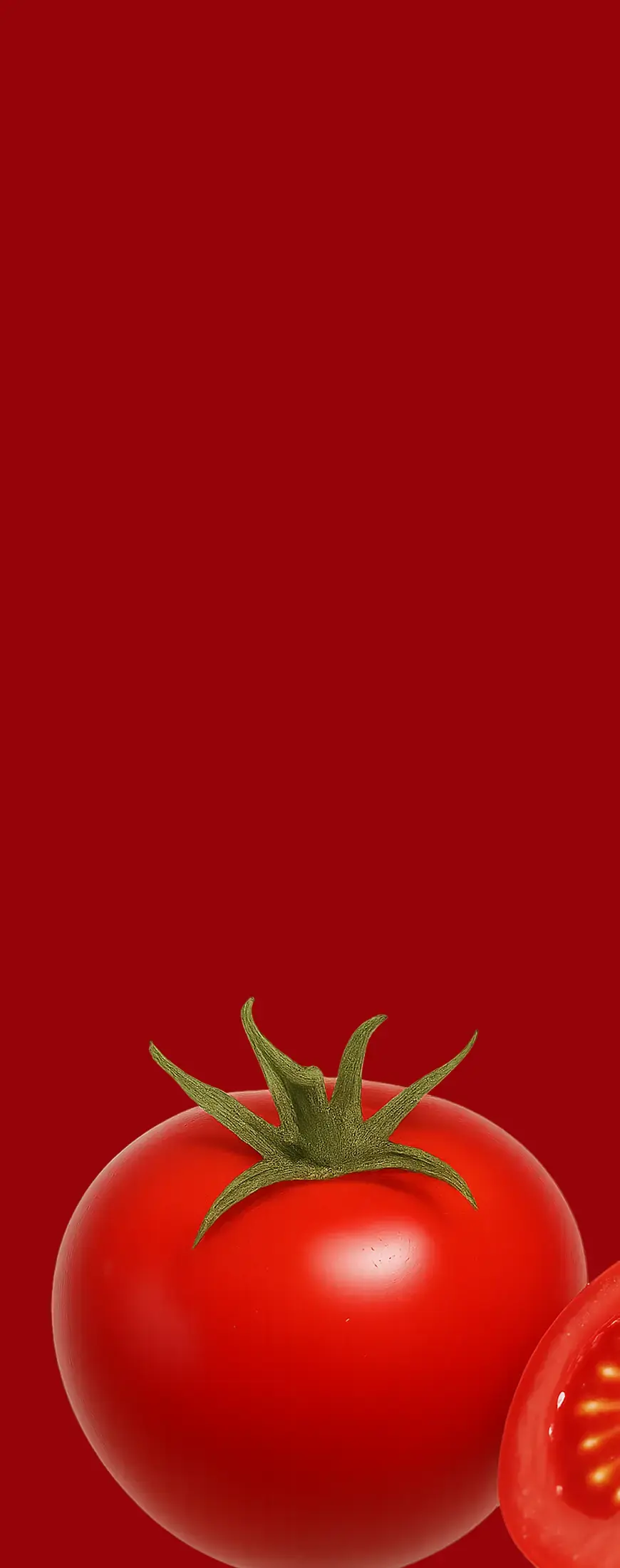 Tomatoes